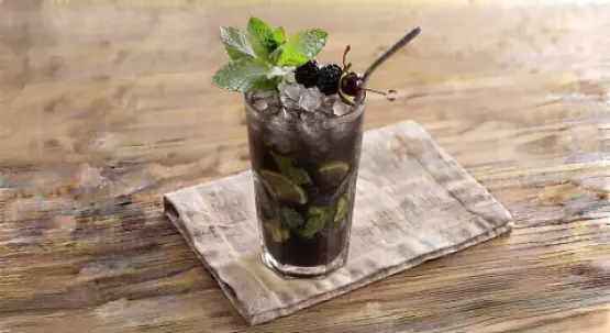 Gara mohito